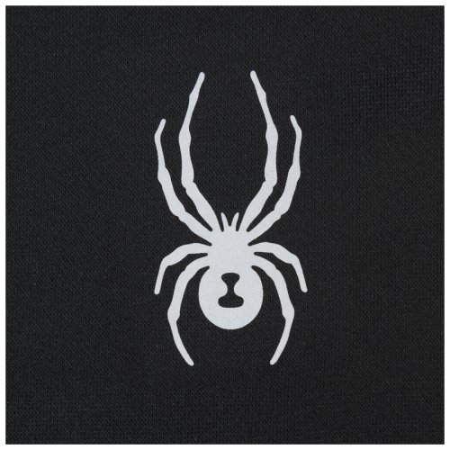 Балаклава Spyder T-HOT PIVOT