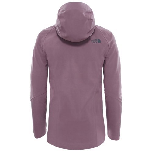 Куртка The North Face Women's Apex Flex GTX Jacket