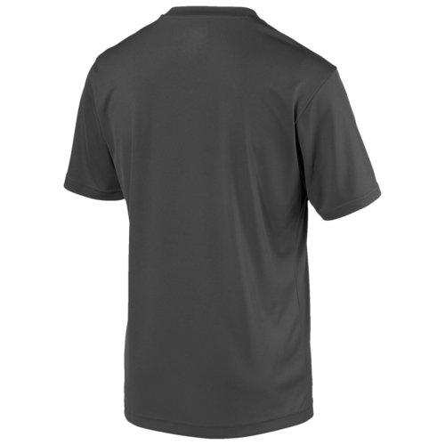 Футболка Puma ftblPLAY Logo Tee