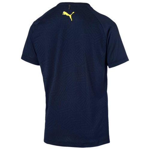 Футболка Puma Tec Sports Tee