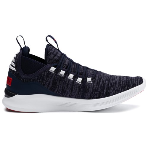 Кроссовки Puma IGNITE Flash Daunt