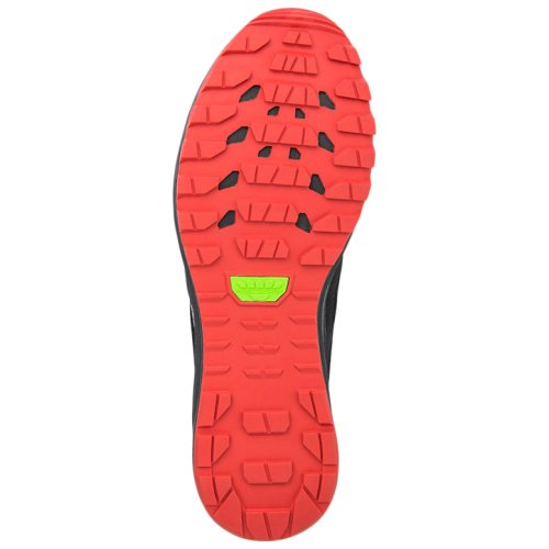 Кросівки для бігу Asics FujiLyte XT