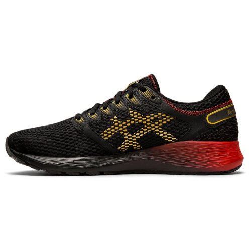 Кросівки для бігу Asics RoadHawk FF 2