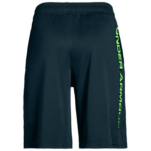Шорты Under Armour Prototpe Wordmark Short