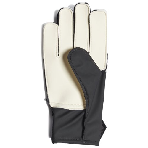 Вратарские перчатки Adidas PRED TRN J SILVMT|BLA