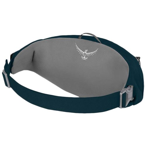 Сумка на пояс Osprey Daylite Waist Petrol