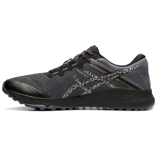 Кроссовки для бега  Asics  ALPINE XT 2
