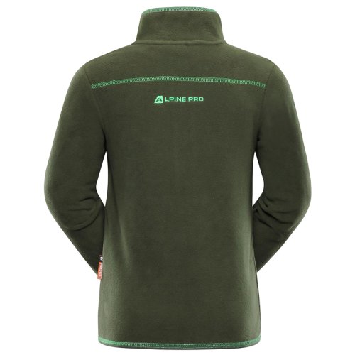 Флис Alpine Pro CASSIUSO 3