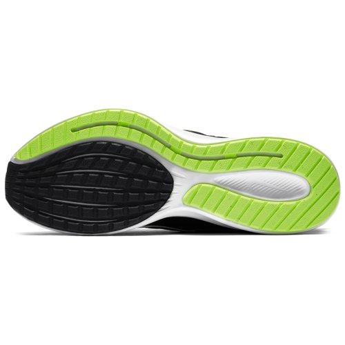Кросівки NIKE RUNALLDAY 2 AS