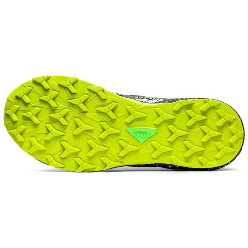 Кросівки для бігу Asics FujiTrabuco Lyte