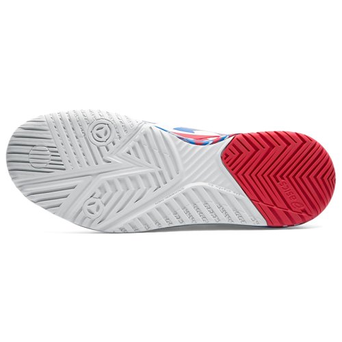 Кроссовки Asics Теннис GEL-RESOLUTION 8 L.E.