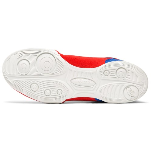 Кросівки Asics Борьба MATFLEX 6 GS