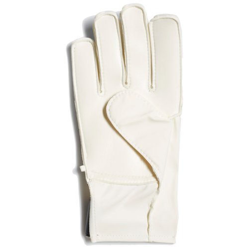 Вратарские перчатки Adidas Predator 20 Match