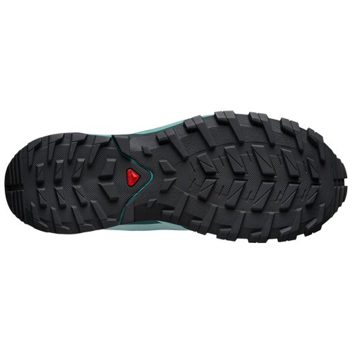 Кроссовки Salomon XA COLLIDER GTX W Icy Morn/Lunar R
