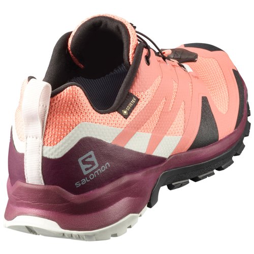 Кроссовки Salomon XA ROGG GTX W BURNT /Bk/Lunar Rock