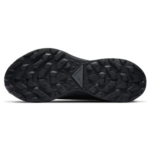 Кросівки NIKE W NIKE PEGASUS TRAIL 2 GTX