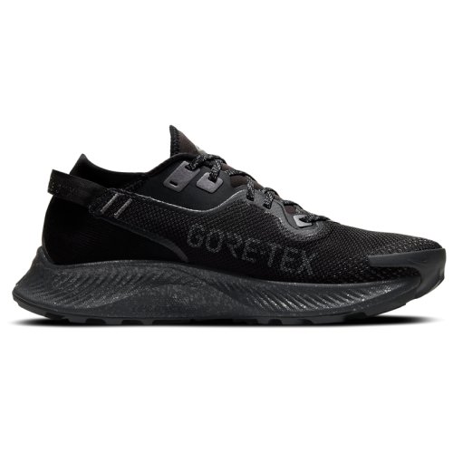 Кроссовки NIKE PEGASUS TRAIL 2 GTX