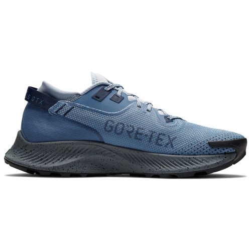 Кроссовки NIKE PEGASUS TRAIL 2 GTX