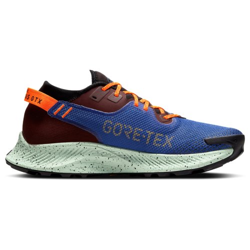 Кроссовки NIKE PEGASUS TRAIL 2 GTX