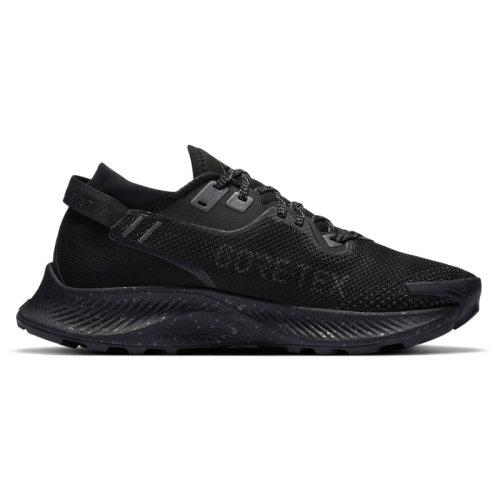 Кросівки NIKE W NIKE PEGASUS TRAIL 2 GTX