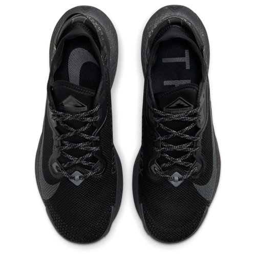 Кроссовки NIKE PEGASUS TRAIL 2 GTX