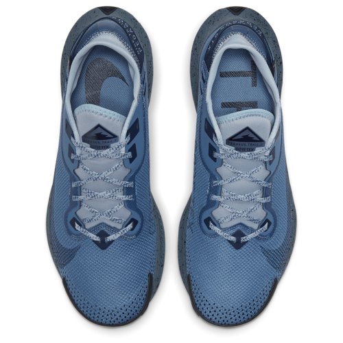 Кроссовки NIKE PEGASUS TRAIL 2 GTX