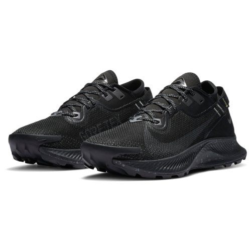 Кросівки NIKE W NIKE PEGASUS TRAIL 2 GTX