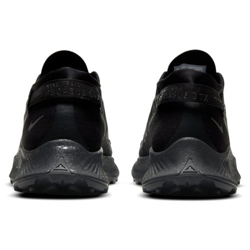 Кроссовки NIKE PEGASUS TRAIL 2 GTX