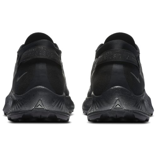 Кросівки NIKE W NIKE PEGASUS TRAIL 2 GTX