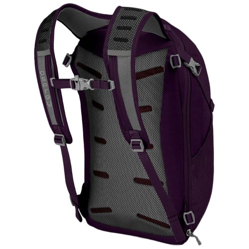 Рюкзак Osprey Daylite Travel Amulet Purple