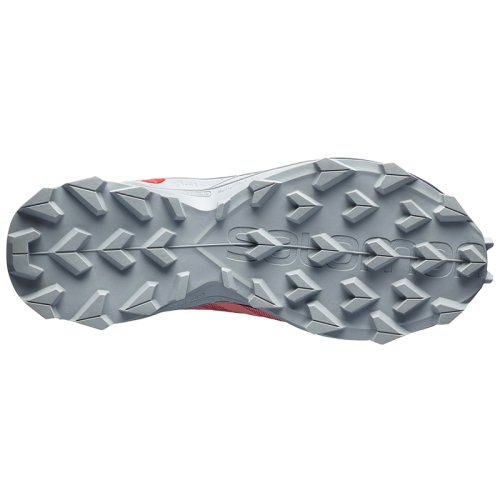 Кроссовки Salomon SUPERCROSS BLAST GTX W BRICK /Ebon FW20-21