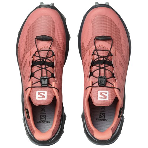 Кроссовки Salomon SUPERCROSS BLAST GTX W BRICK /Ebon FW20-21
