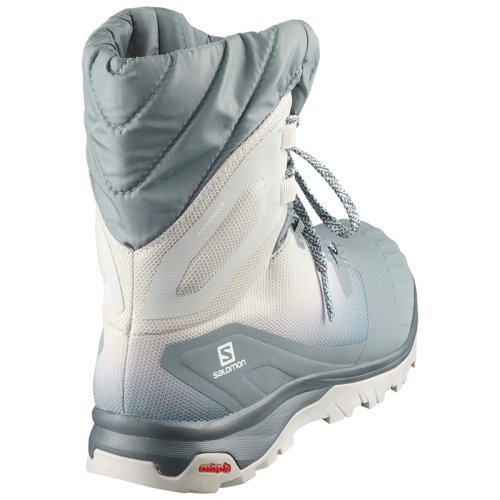 Ботинки Salomon VAYA POWDER TS CSWP Le/Lunar Rock FW20-21