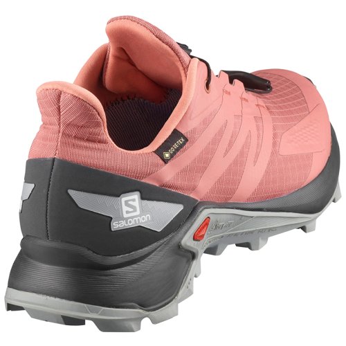 Кроссовки Salomon SUPERCROSS BLAST GTX W BRICK /Ebon FW20-21