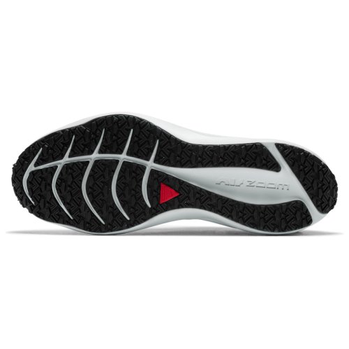 Кроссовки NIKE NIKE WINFLO 7 SHIELD