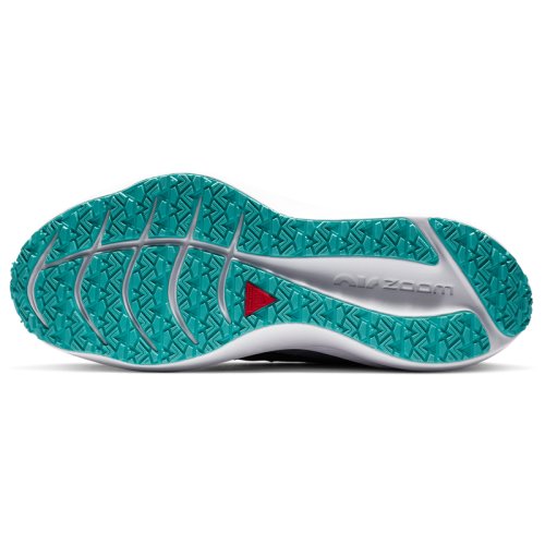 Кросівки NIKE WMNS NIKE WINFLO 7 SHIELD