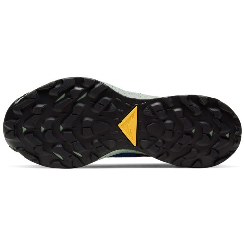 Кросівки для бігу NIKE W NIKE Pegasus TRAIL 2 GTX