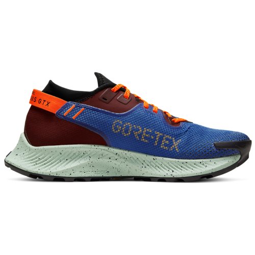 Кросівки для бігу NIKE W NIKE Pegasus TRAIL 2 GTX