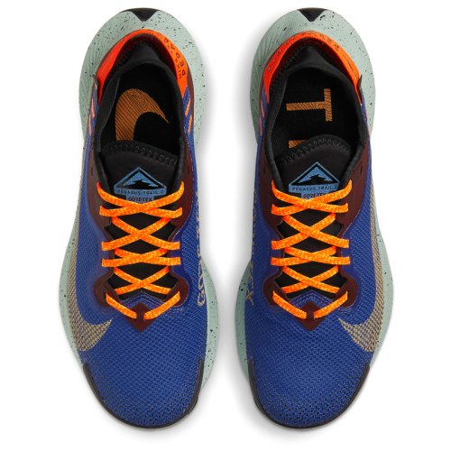 Кросівки для бігу NIKE W NIKE Pegasus TRAIL 2 GTX