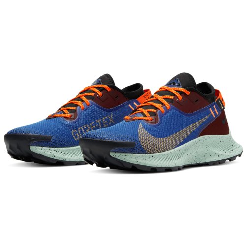 Кросівки для бігу NIKE W NIKE Pegasus TRAIL 2 GTX