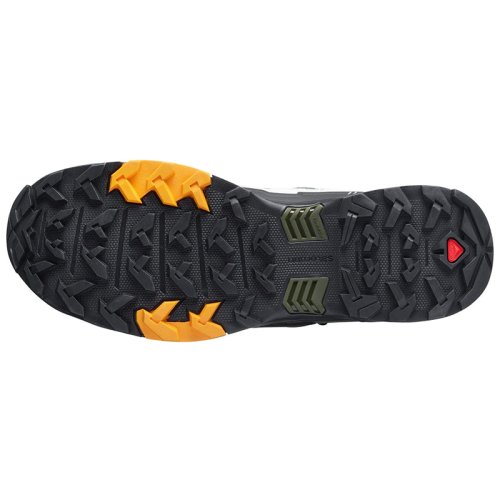 Черевики Salomon X ULTRA 4 MID GTX LunRoc/Mgnt/Butt