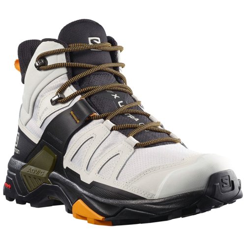 Черевики Salomon X ULTRA 4 MID GTX LunRoc/Mgnt/Butt