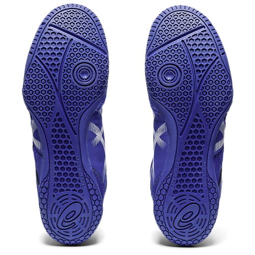 Кросівки Asics Борьба MATCONTROL 2 BLU/WHT U