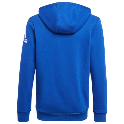 Толстовка  Adidas Logo