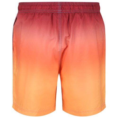 Шорти  REGATTA Loras Swim Short
