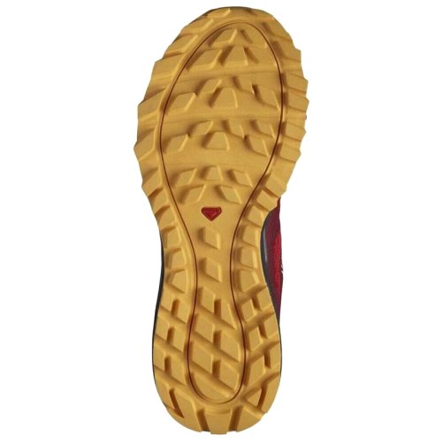 Кроссовки Salomon TRAILSTER 2 Goji B/Ebony/Warm Apri