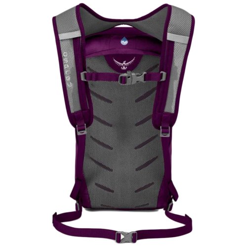 Рюкзак Osprey Daylite Plus 20 (2020) Eggplant Purple
