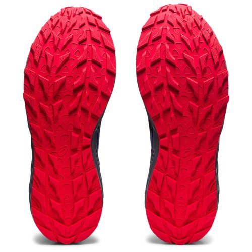 Кроссовки беговые ASICS GEL-SONOMA 6 G-TX