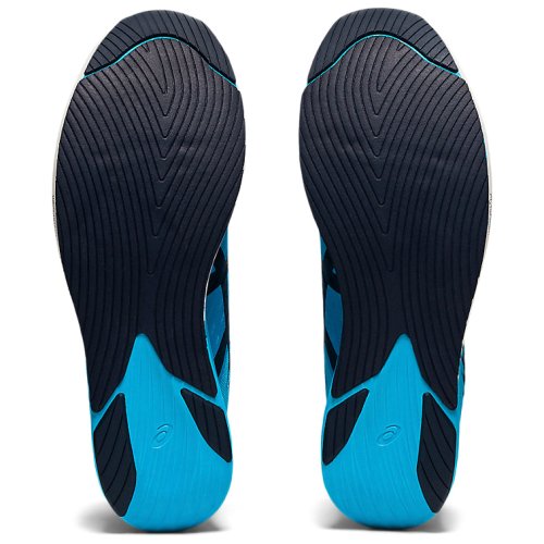 Кроссовки Asics METARACER BLU M