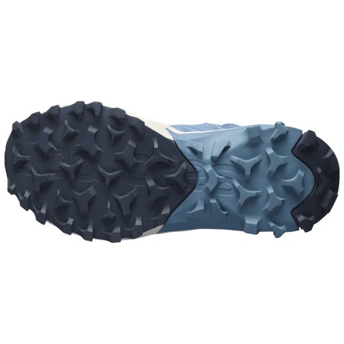 Кроссовки Salomon MADCROSS GTX W Delphinium Blue/Blu